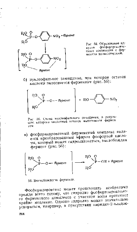 Схема нуклеофильного замещения, в результате которого кислотный остаток вытесняется ферментом.