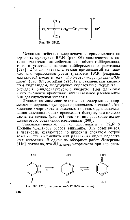 ГМК (гидразид малеиновой кислоты).