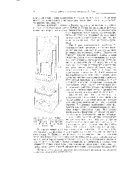 Окаймленные поры на стенках трахеид