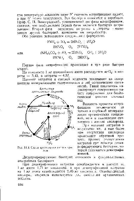 Схема круговорота азота в природе