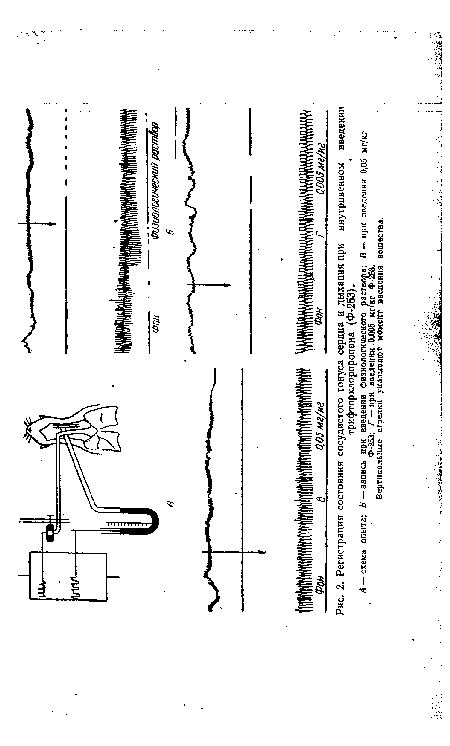 Регистрация состояния сосудистого тонуса сердца и дыхания при внутривенном введении