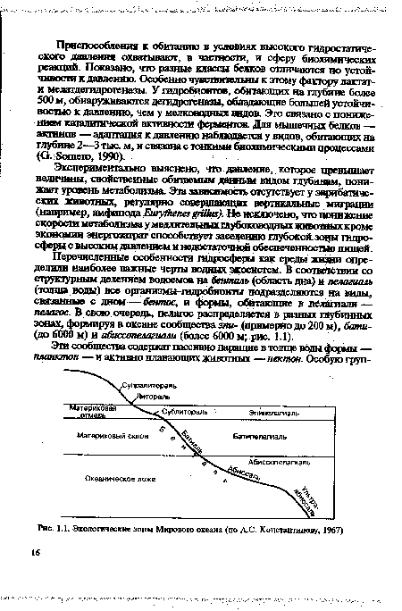 Экологические зоны Мирового океана (по А.С. Константинову, 1967)