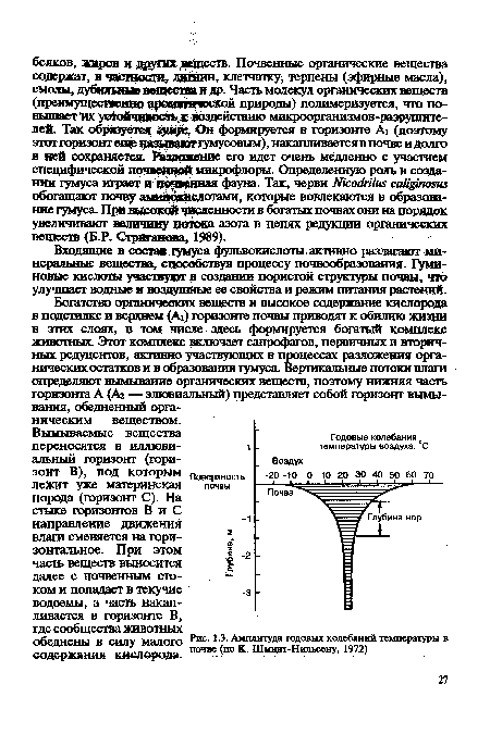 Амплитуда годовых колебаний температуры в почве (по К. Шмидт-Нильсену, 1972)