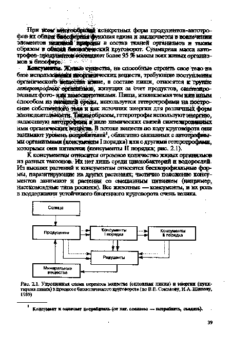 Упрощенная схема переноса вещества (сплошная линия) и энергии (пунктирная линия) в процессе биологического круговорота (по В .Е. Соколову, И А. Шилову, 1989)