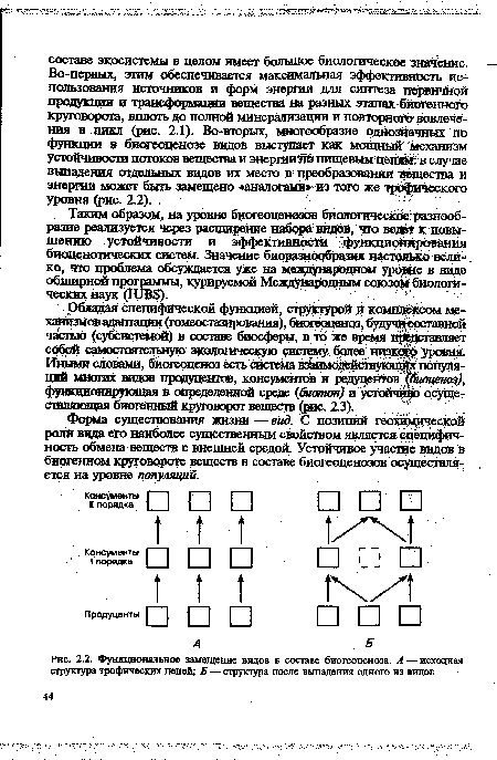 Функциональное замещение видов в составе биогеоценоза. А — исходная структура трофических цепей; Б — структура после выпадения одного из видов