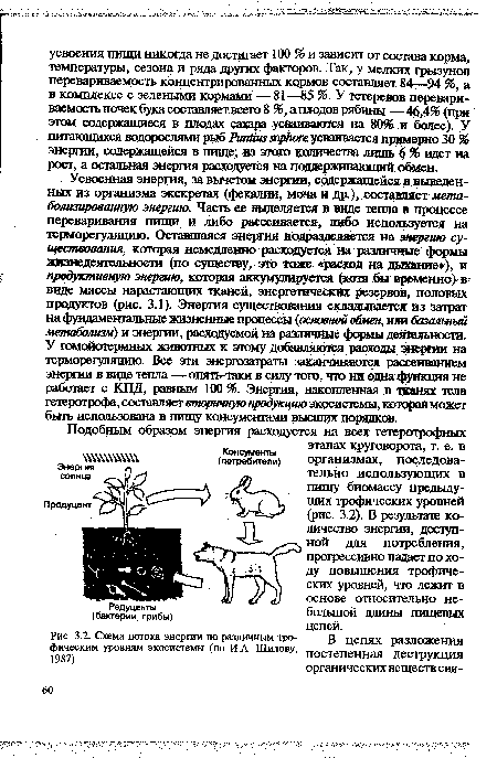 Схема потока энергии по различным тро- В цепях разложения фическим уровням экосистемы (по И.А. Шилову, постепенная деструкция