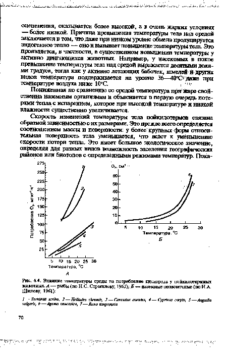 Влияние температуры среды на потребление кислорода у пойкнлотермиых животных. А — рыбы (по Н.С. Строганову, 1962); Б — наземные позвоночные (по И А. Шилову, 1961)