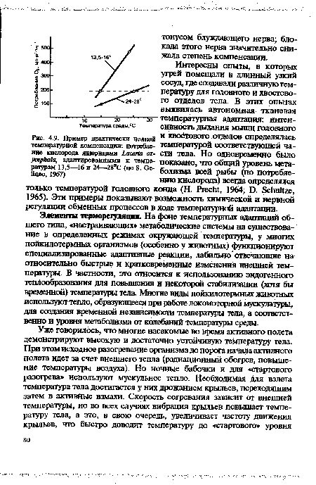 Пример практически полной и хвостового^ отделов определялась температурной компенсации