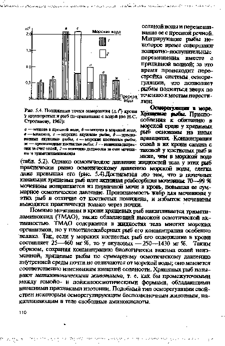 Понижение точки замерзания (А (°) крови у круторотых и рыб по сравнению с водой (по Н.С. Строганову, 1962)