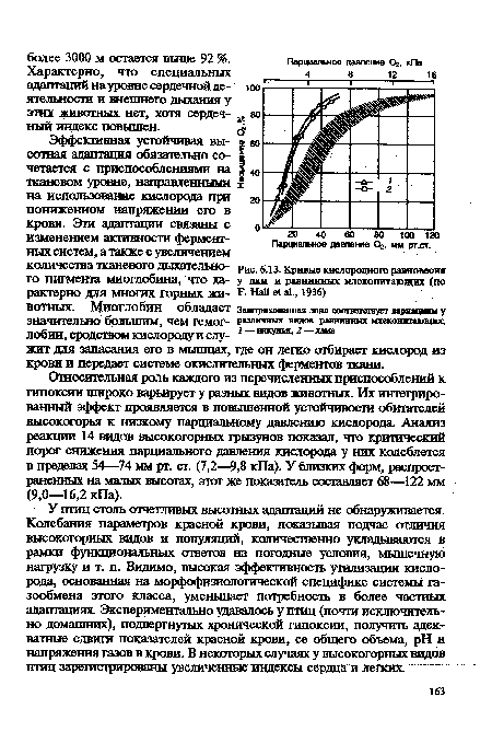 Кривые кислородного равновесия у лам и равнинных млекопитающих (по К На11 <А Л, 1936)