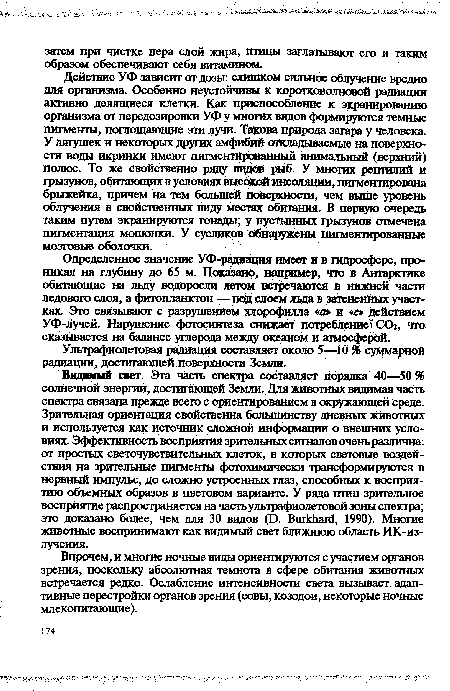 Действие УФ зависит от дозы: слишком сильное облучение вредно для организма. Особенно неустойчивы к коротковолновой радиации активно делящиеся клетки. Как приспособление к экранированию организма от передозировки УФ у многих видов формируются темные пигменты, поглощающие эти лучи. Такова природа загара у человека. У лягушек и некоторых других амфибий откладываемые на поверхности воды икринки имеют пигментированный анимальный (верхний) полюс. То же свойственно ряду видов рыб. У многих рептилий и грызунов, обитающих в условиях высокой инсоляции, пигментирована брыжейка, причем на тем большей поверхности, чем выше уровень облучения в свойственных виду местах обитания. В первую очередь таким путем экранируются гонады; у пустынных грызунов отмечена пигментация мошонки. У сусликов обнаружены пигментированные мозговые оболочки.