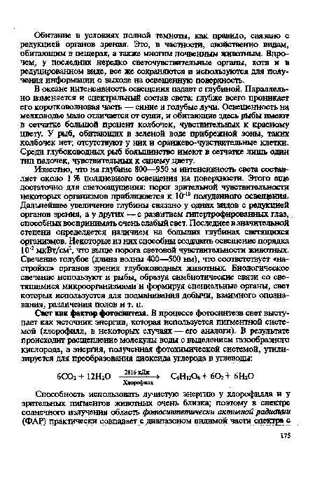 В океане интенсивность освещения падает с глубиной. Параллельно изменяется и спектральный состав света: глубже всего проникает его коротковолновая часть — синие и голубые лучи. Освещенность щ мелководье мало отличается от суши, и обитающие здесь рыбы имеют в сетчатке большой процент колбочек, чувствительных к красному цвету. У рыб, обитающих в зеленой воде прибрежной зоны, таких колбочек нет; отсутствуют у них и оранжево-чувствительные клетки. Среди глубоководных рыб большинство имеют в сетчатке лишь один тип палочек, чувствительных к синему цвету.