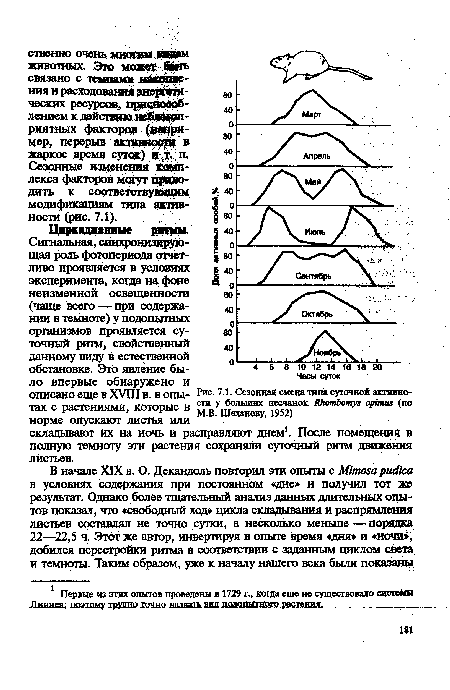 Сезонные изменения комплекса факторов могут приводить к соответствующим модификациям типа активности (рис. 7Д).