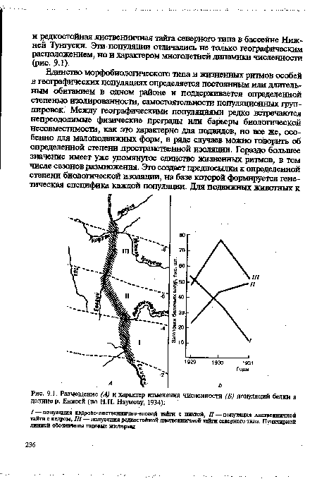 Размещение (А) и характер изменения численности (Б) популяций белки в долине р. Енисей (по Н.П. Наумову, 1934)