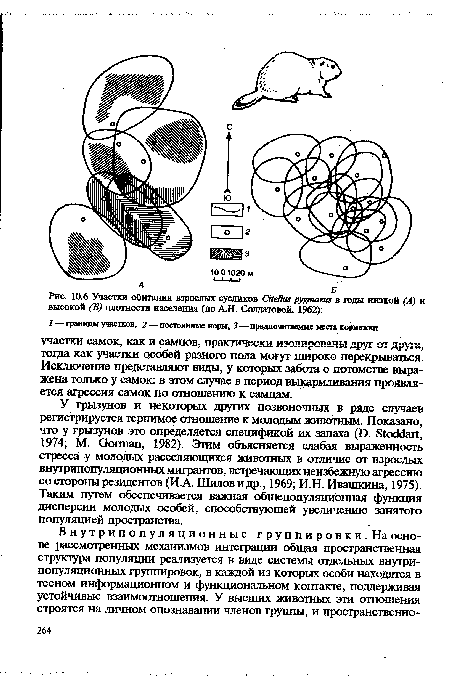 У грызунов и некоторых других позвоночных в ряде случаев регистрируется терпимое отношение к молодым животным. Показано, что у грызунов это определяется спецификой их запаха (D. Stoddart, 1974; М. Gorman, 1982). Этим объясняется слабая выраженность стресса у молодых расселяющихся животных в отличие от взрослых внутрипопуляционных мигрантов, встречающих неизбежную агрессию со стороны резидентов (И.А Шилов и др., 1969; И.Н. Ивашкина, 1975). Таким путем обеспечивается важная общепопуляционная функция дисперсии молодых особей, способствующей увеличению занятого популяцией пространства.