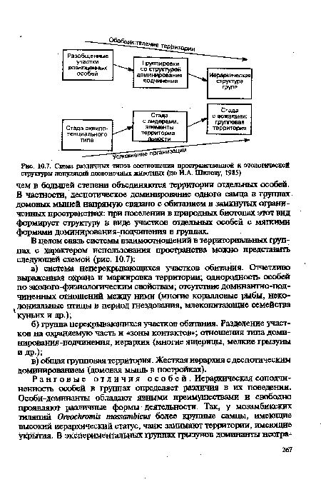 Схема различных типов соотношения пространственной и эталогической структуры популяций позвоночных животных (по ИЛ. Шилову, 1985)