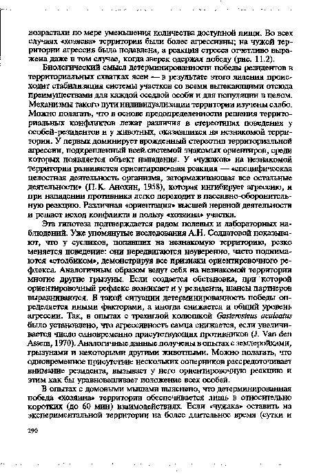 Эта гипотеза подтверждается рядом полевых и лабораторных наблюдений. Уже упомянутые исследования А.Н. Солдатовой показывают, что у сусликов, попавших на незнакомую территорию, резко меняется поведение: они передвигаются неуверенно, часто поднимаются «столбиком», демонстрируя все признаки ориентировочного рефлекса. Аналогичным образом ведут себя на незнакомой территории многие другие грызуны. Если создается обстановка, при которой ориентировочный рефлекс возникает и у резидента, шансы партнеров выравниваются. В такой ситуации детерминированность победы определяется иными факторами, а иногда снижается и общий уровень агрессии. Так, в опытах с трехиглой колюшкой Gasterosteus aculeatus было установлено, что агрессивность самца снижается, если увеличивается число одновременно присутствующих противников (J. Van den Assem, 1970). Аналогичные данные получены в опытах с землеройками, грызунами и некоторыми другими животными. Можно полагать, что одновременное присутствие нескольких соперников рассредоточивает внимание резидента, вызывает у него ориентировочную реакцию и этим как бы уравновешивает положение всех особей.