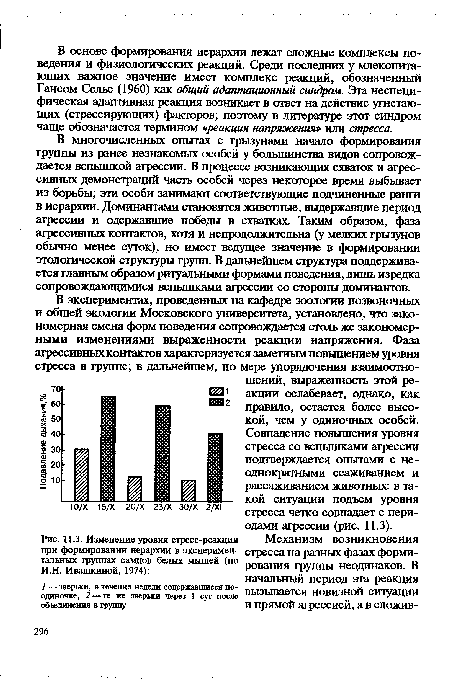 Изменение уровня стресс-реакции при формировании иерархии в экспериментальных группах самцов белых мышей (по И.Н. Ивашкиной, 1974)