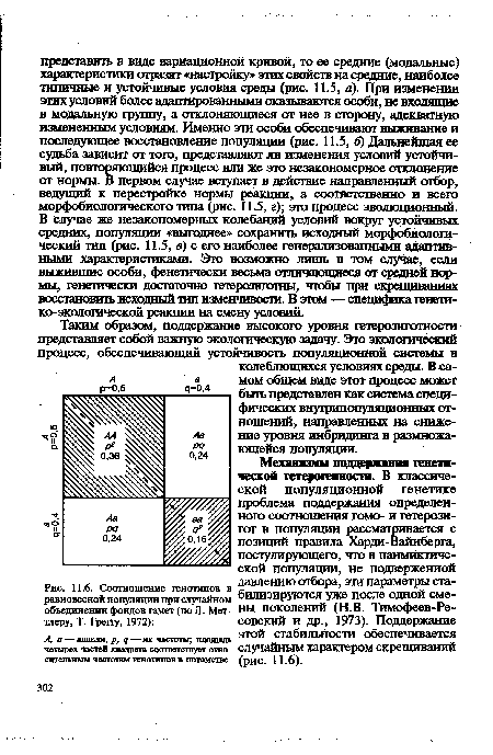 Соотношение генотипов в £	«