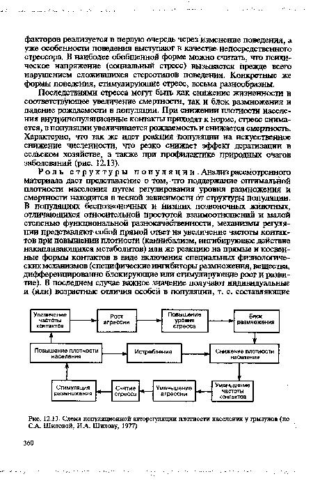 Схема популяционной авторегуляции плотности населения у грызунов (по СА. Шиловой, ИА. Шилову, 1977)