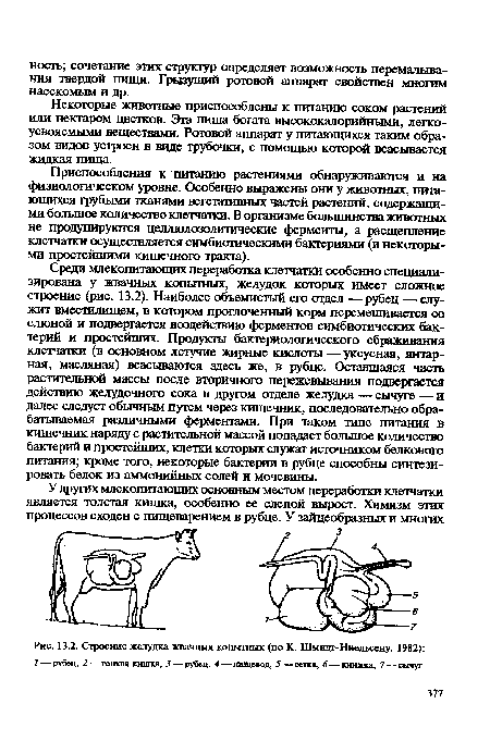 Некоторые животные приспособлены к питанию соком растений или нектаром цветков. Эта пища богата высококалорийными, легко-усвояемыми веществами. Ротовой аппарат у питающихся таким образом видов устроен в виде трубочки, с помощью которой всасывается жидкая птца.