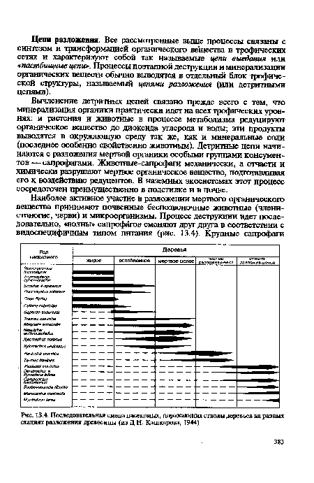 Последовательная смена насекомых, поражающих стволы деревьев на разных стадиях разложения древесины (из Д.Н. Кашкарова, 1944)