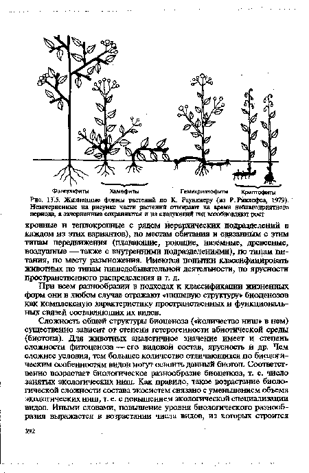 При всем разнообразии в подходах к классификации жизненных форм они в любом случае отражают «нишевую структуру» биоценозов как комплексную характеристику пространственных и функциональных связей составляющих их видов.