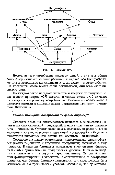 Скорость создания органического вещества в экосистемах называется биологической продукцией, а масса тела живых организмов — биомассой. Органическая масса, создаваемая растениями за единицу времени, называется первичной продукцией сообществ, а продукция животных или других консументов — вторичной.