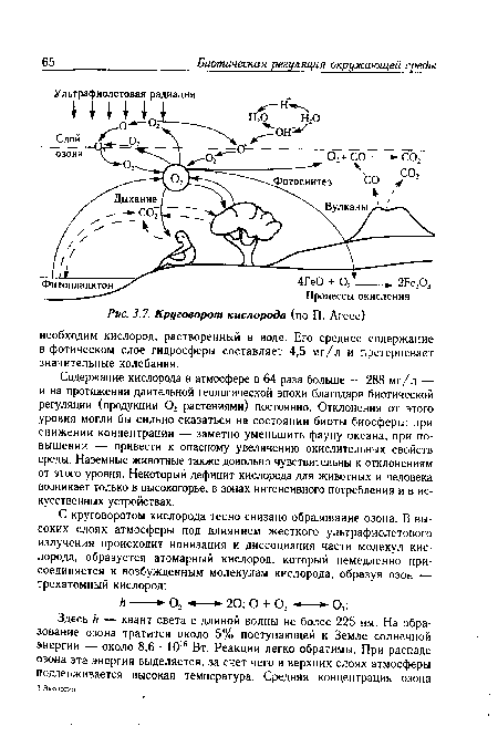 Круговорот кислорода (по П. Агесс)