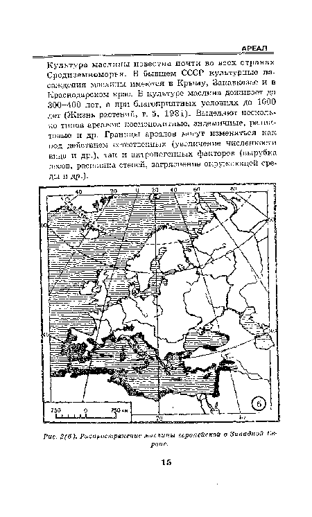 Распространение маслины европейской в Западной Европе.