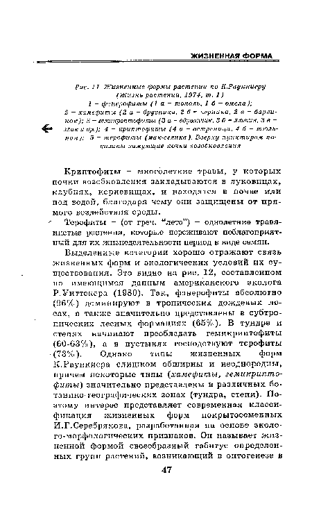 Жизненные формы растений по К.Рауккиеру (Жизнь растений, 1974, т. 1)