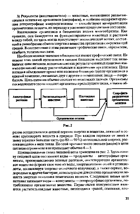 Взаимосвязи организмов в биоценозах весьма многообразны. Как правило, они базируются на функционировании животных и растений между собой, но здесь всегда присутствует экологический аспект, состоящий в своеобразии обмена энергии и вещества организмов с окружающей средой. В соответствии Ь этим различают трофические связи, паразитизм, симбиоз, топические связи.