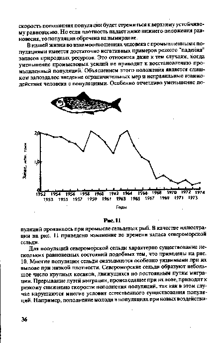 Для популяций североморской сельди характерно существование нескольких равновесных состояний подобных тем, что приведены на рис.