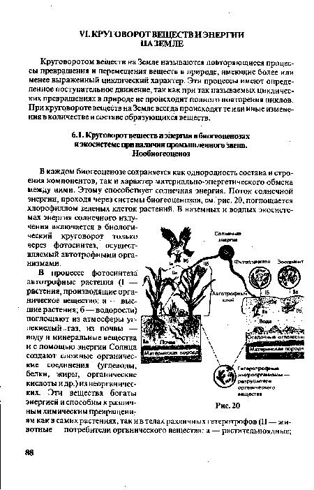 В каждом биогеоценозе сохраняется как однородность состава и строения компонентов, так и характер материально-энергетического обмена между ними. Этому способствует солнечная энергия. Поток солнечной энергии, проходя через системы биогеоценозов, см. рис. 20, поглощается хлорофиллом зеленых клеток растений. В наземных и водных экосистемах энергия солнечного излучения включается в биологический круговорот только через фотосинтез, осуществляемый автотрофными организмами.