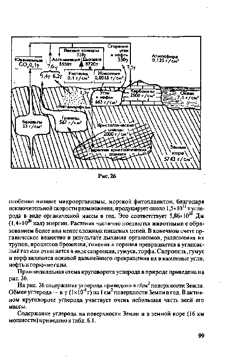 На рис. 26 содержание углерода приведено в г/см2 поверхности Земли. Обмен углерода—в у (1 х 10"6 г) на 1 см2 поверхности Земли в год. В активном круговороте углерода участвует очень небольшая часть всей его массы.