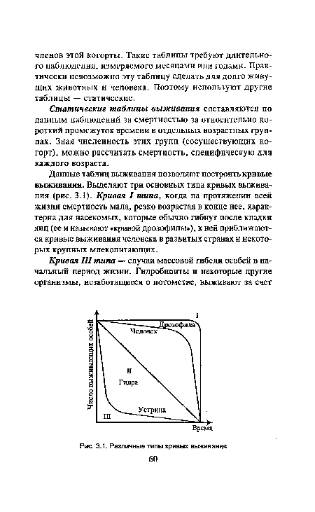 Данные таблиц выживания позволяют построить кривые выживания. Выделяют три основных типа кривых выживания (рис. 3.1). Кривая I типа, когда на протяжении всей жизни смертность мала, резко возрастая в конце нее, характерна для насекомых, которые обычно гибнут после кладки яиц (ее и называют «кривой дрозофилы»), к ней приближаются кривые выживания человека в развитых странах и некоторых крупных млекопитающих.