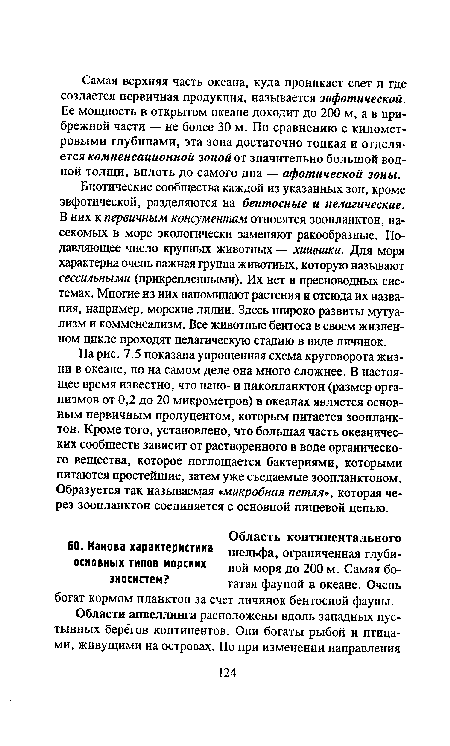 Биотические сообщества каждой из указанных зон, кроме эвфотической, разделяются на бентосные и пелагические. В них к первичным консументам относятся зоопланктон, насекомых в море экологически заменяют ракообразные. Подавляющее число крупных животных — хищники. Для моря характерна очень важная группа животных, которую называют сессильными (прикрепленными). Их нет в пресноводных системах. Многие из них напоминают растения и отсюда их названия, например, морские лилии. Здесь широко развиты мутуализм и комменсализм. Все животные бентоса в своем жизненном цикле проходят пелагическую стадию в виде личинок.