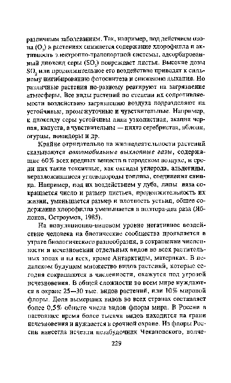 Крайне отрицательно на жизнедеятельности растений сказываются автомобильные выхлопные газы, содержащие 60% всех вредных веществ в городском воздухе, и среди них такие токсичные, как оксиды углерода, альдегиды, неразложившиеся углеводороды топлива, соединения свинца. Например, под их воздействием у дуба, липы, вяза сокращается число и размер листьев, продолжительность их жизни, уменьшается размер и плотность устьиц, общее содержание хлорофилла уменьшается в полтора-два раза (Яб-локов, Остроумов, 1985).