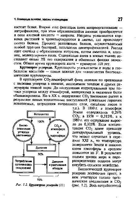 Круговорот углерода [21]