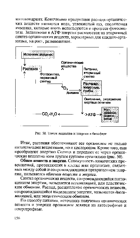 Поток вещества и энергии в биосфере