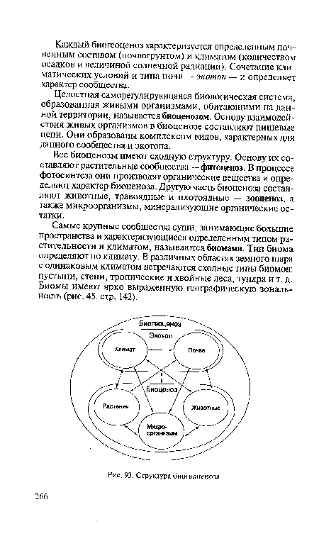 Структура биогеоценоза