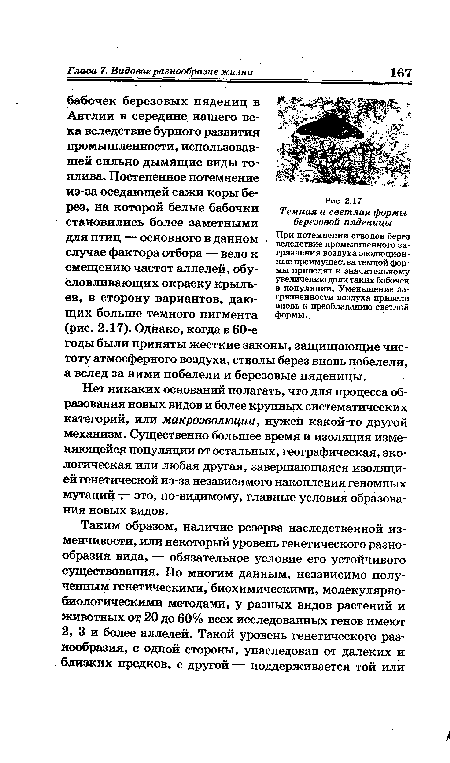 Рассмотрите рисунок с изображением бабочки березовой пяденицы и определите тип приспособления форму