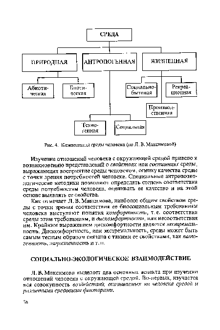 Л. В. Максимова выделяет два основных аспекта при изучении отношений человека с окружающей средой. Во-первых, изучается вся совокупность воздействий, оказываемых на человека средой и различными средовыми факторами.