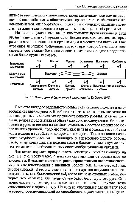 Спектр уровней биологической организации (по Ю. Одуму, 1975)