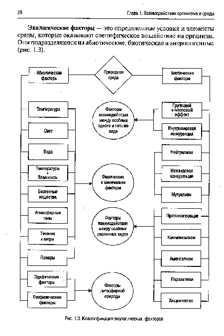 Классификация экологических факторов