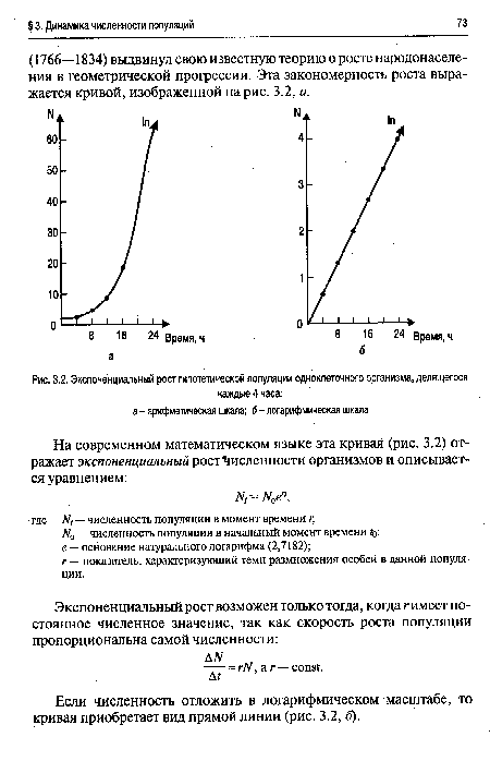 Экспоненциальный рост гипотетической популяции одноклеточного организма, делящегося