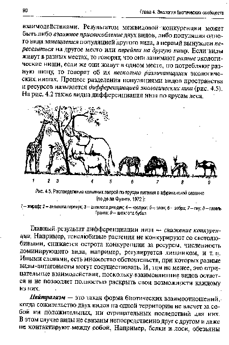 Распределение копытных зверей по ярусам питания в африканской саванне (поделаФуэнте, 1972)