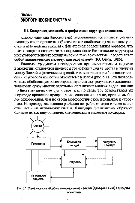 Схема переноса вещества (сплошная линия) и энергии (пунктирная линия) в природных