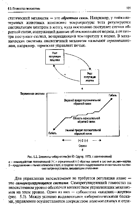 Элементы кибернетики (по Ю. Одуму, 1975, с изменениями)