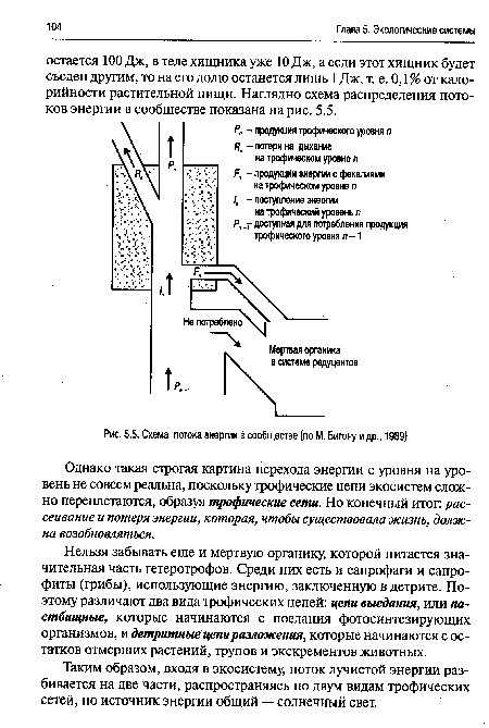 Схема потока энергии в сообществе (по М. Бигону и др., 1989)